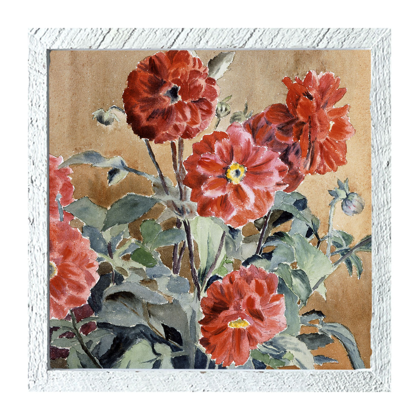 Watercolor Zinnias - Framed art