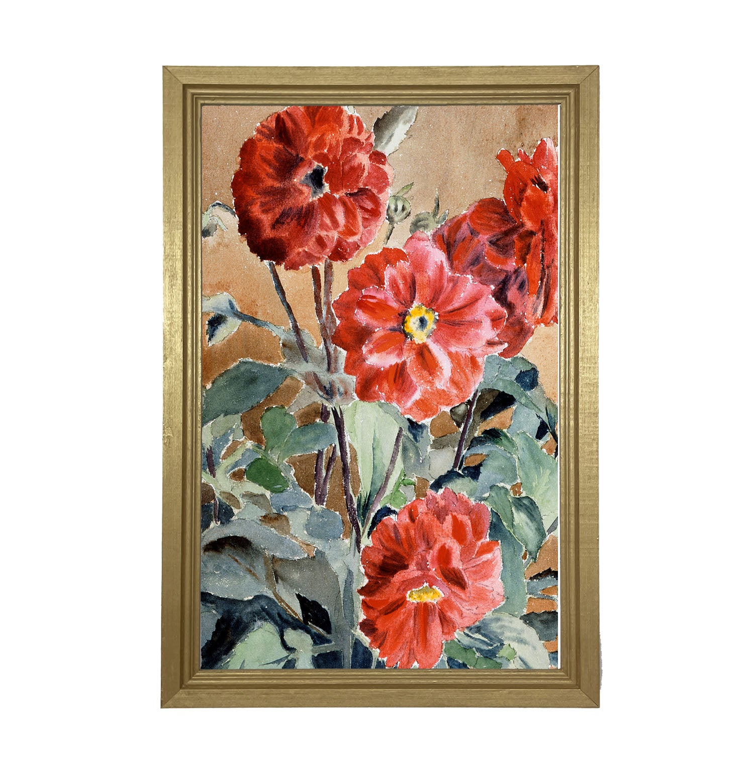 Watercolor Zinnias - Framed art