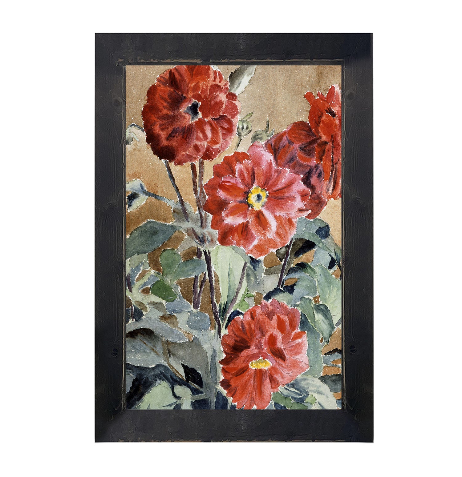 Watercolor Zinnias - Framed art