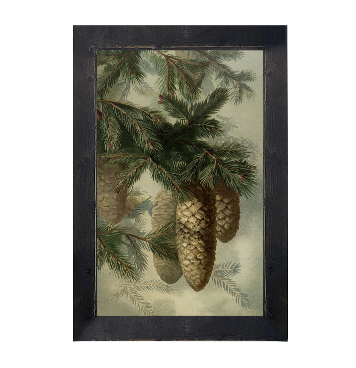 Vintage Pine cones - Framed art