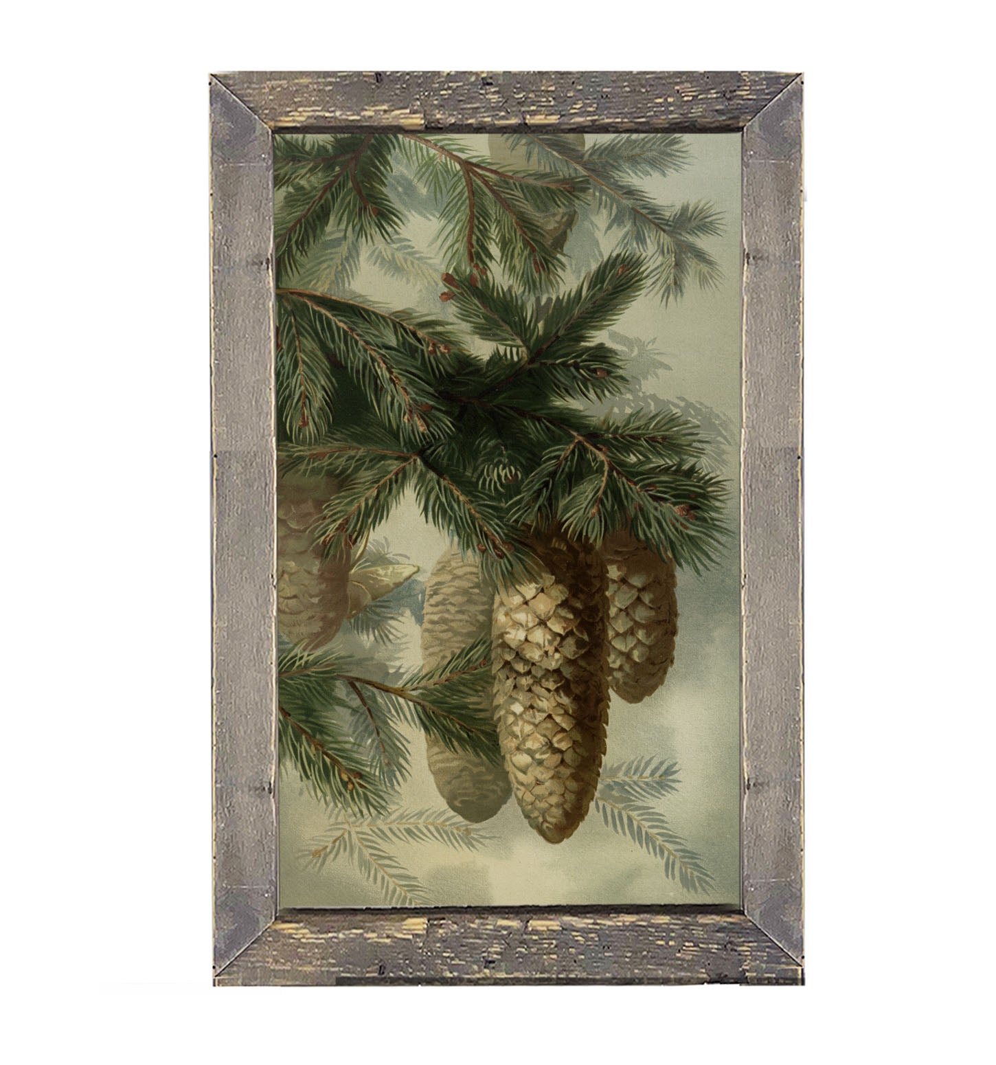 Vintage Pine cones - Framed art