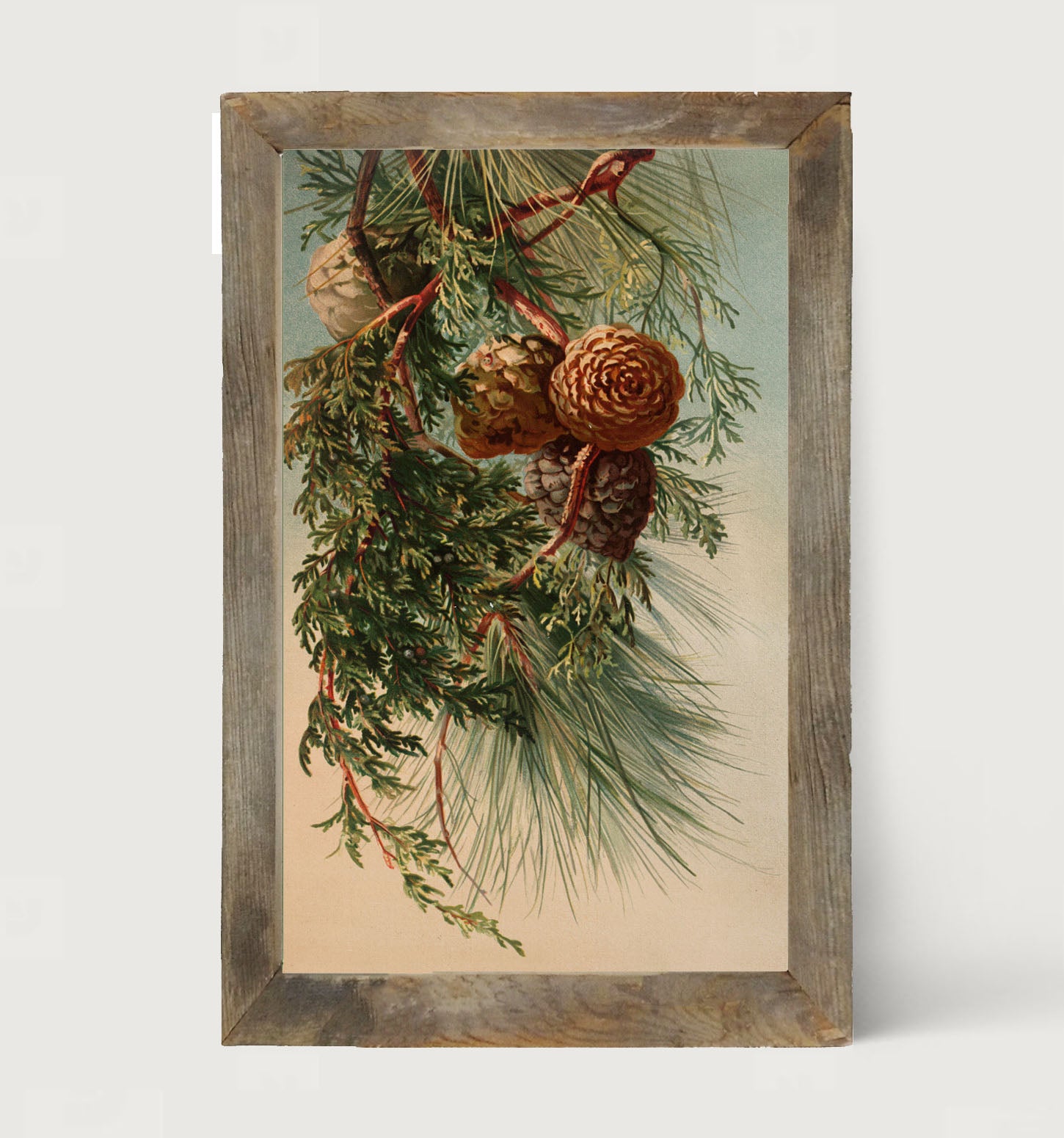 Vintage small pine cones