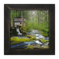Framed Art