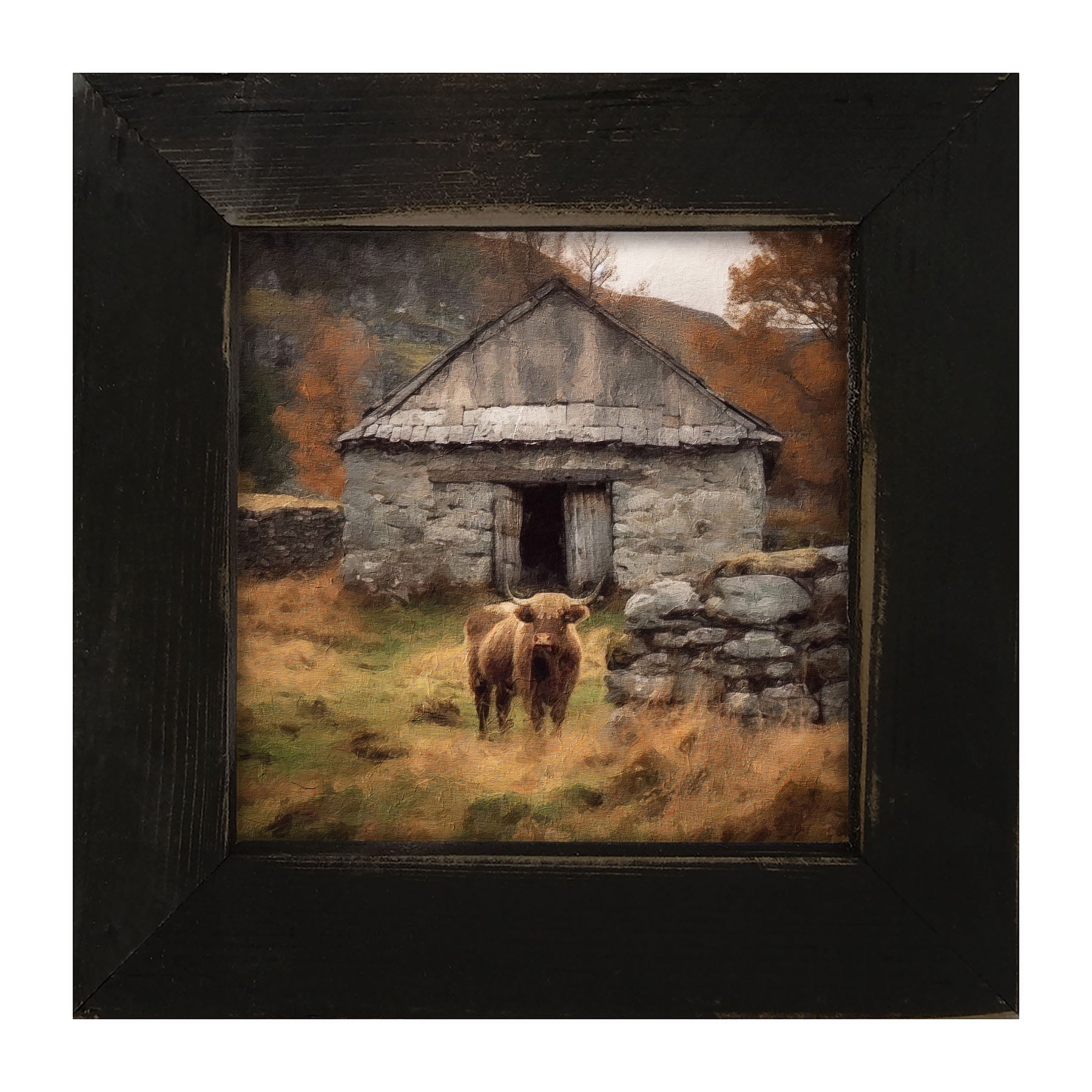 Highland Cow near Stone Wall - Framed art