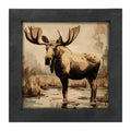Framed Art