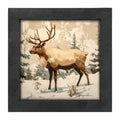 Framed Art