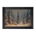 Framed Art