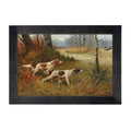 Framed Art