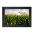 Framed Art