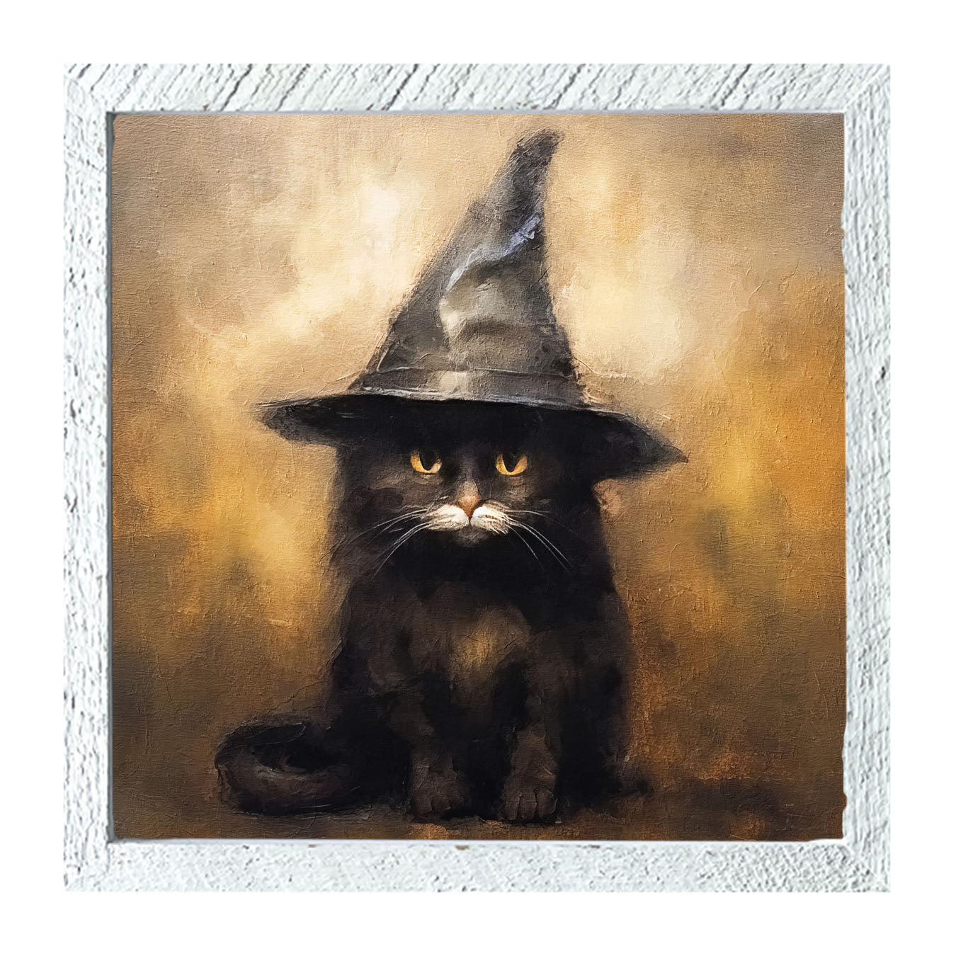 Cat with Witch hat
