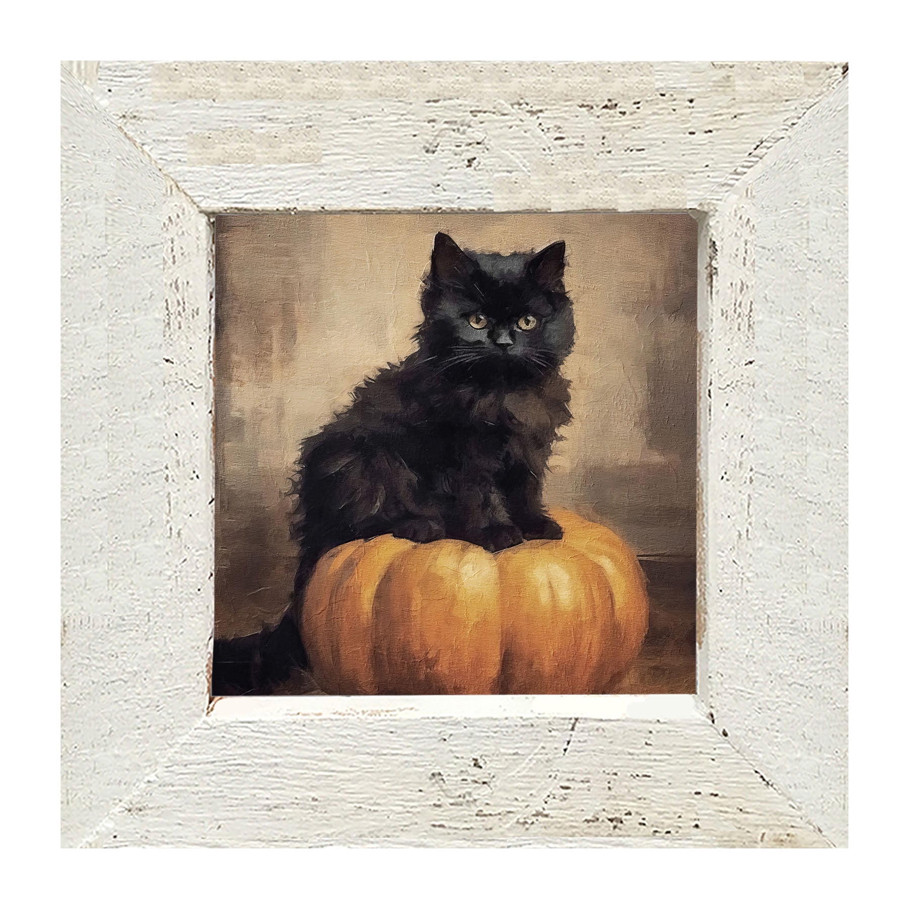 Cat on pumpkin - Framed art