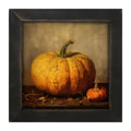Framed Art