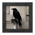Framed Art
