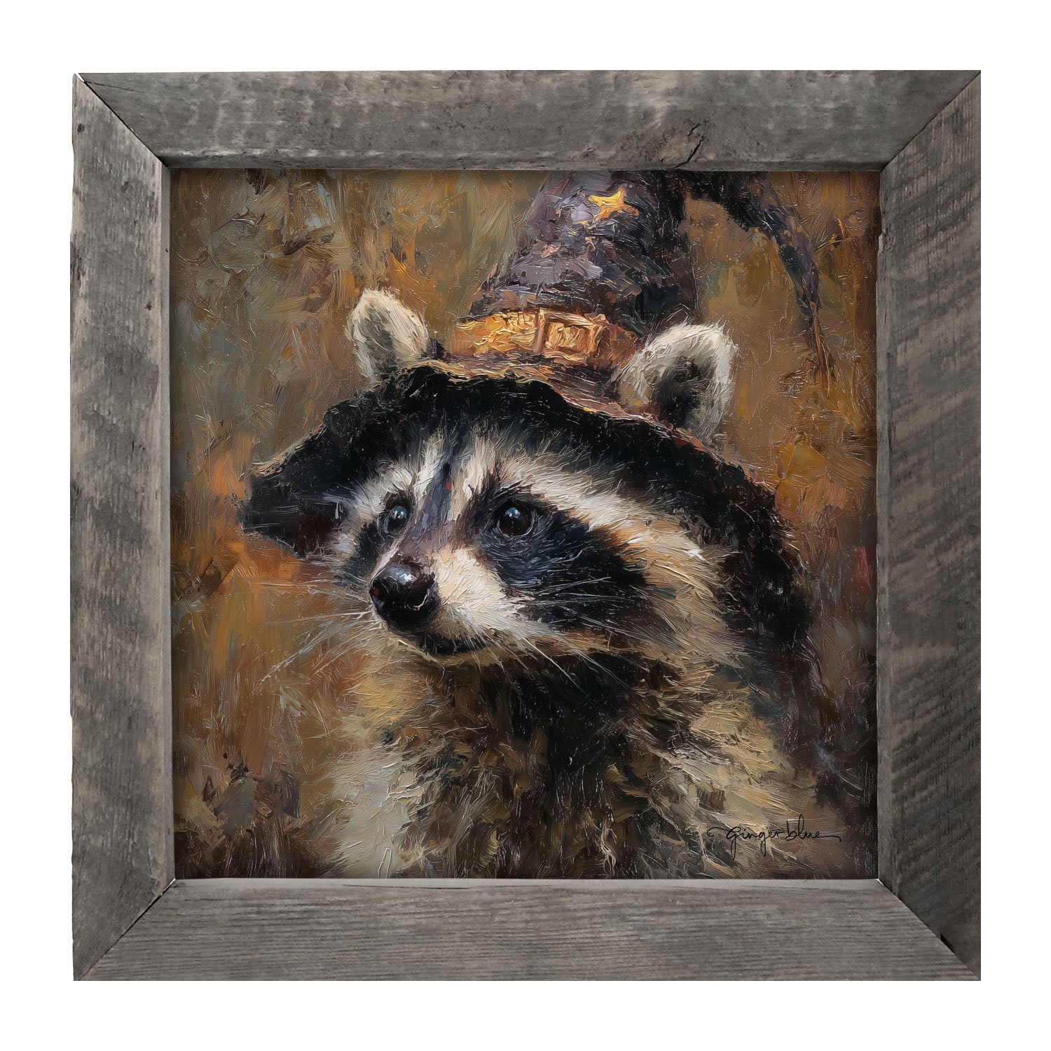 Witch Hat Raccoon - Framed Art