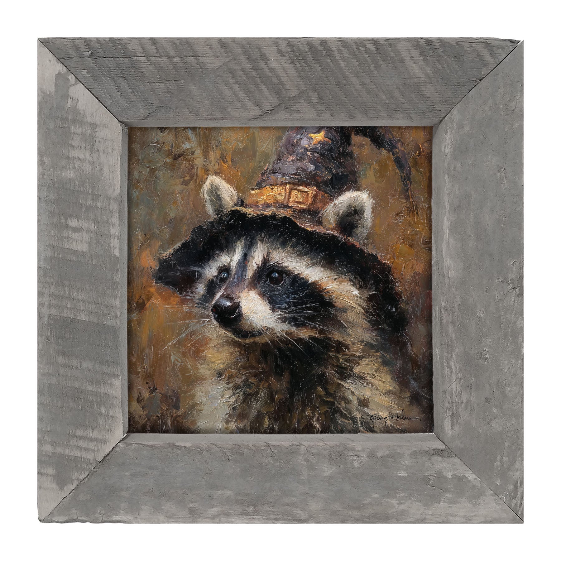 Witch Hat Raccoon - Framed Art