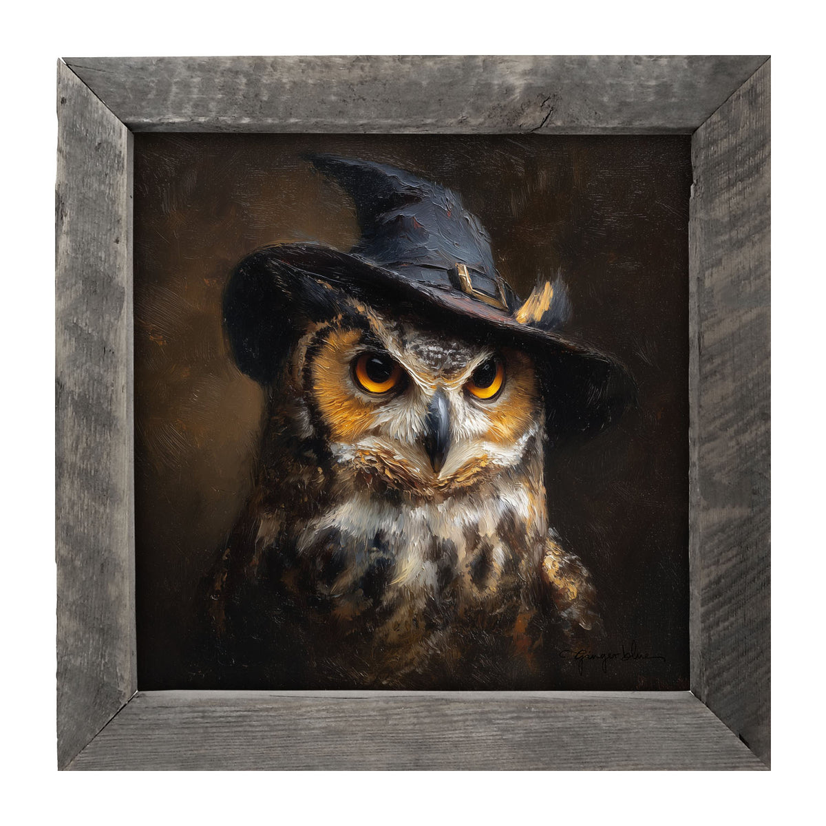 Witch Hat Owl - Framed Art