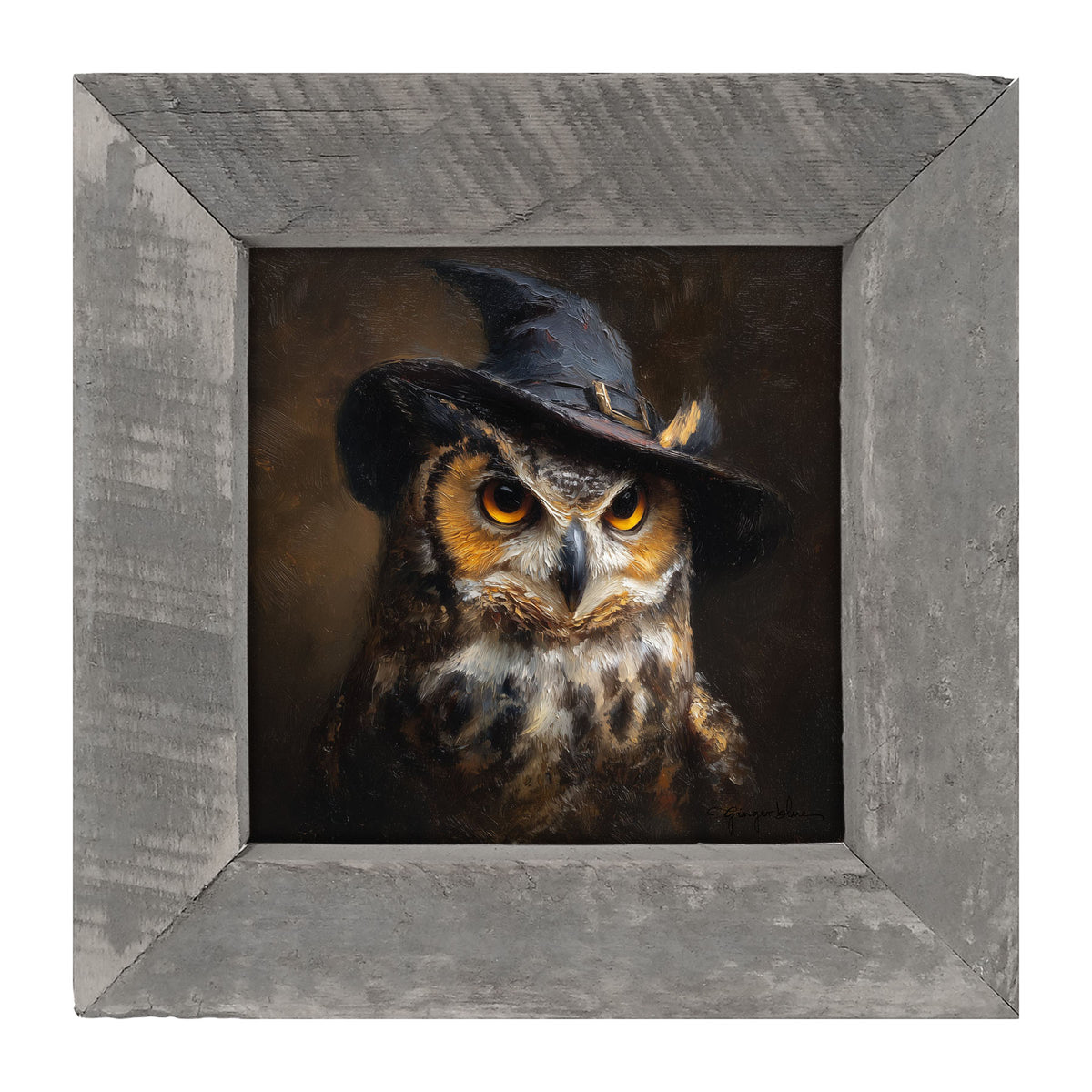 Witch Hat Owl - Framed Art