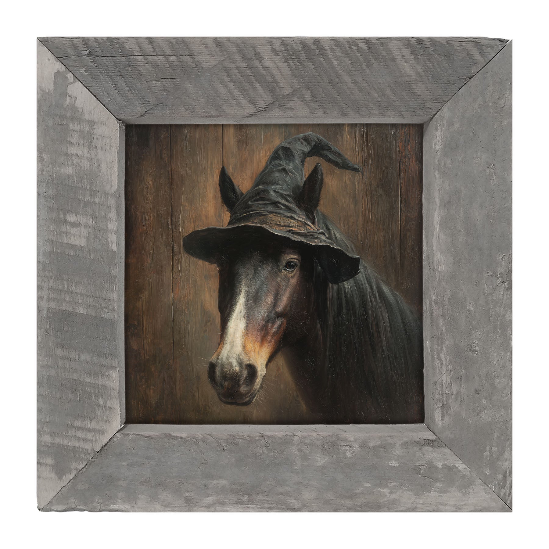 Witch Hat Horse - Framed Art