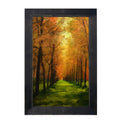 Framed Art