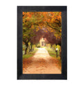 Framed Art