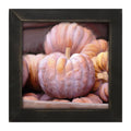 Framed Art