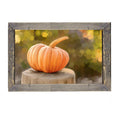 Framed Art