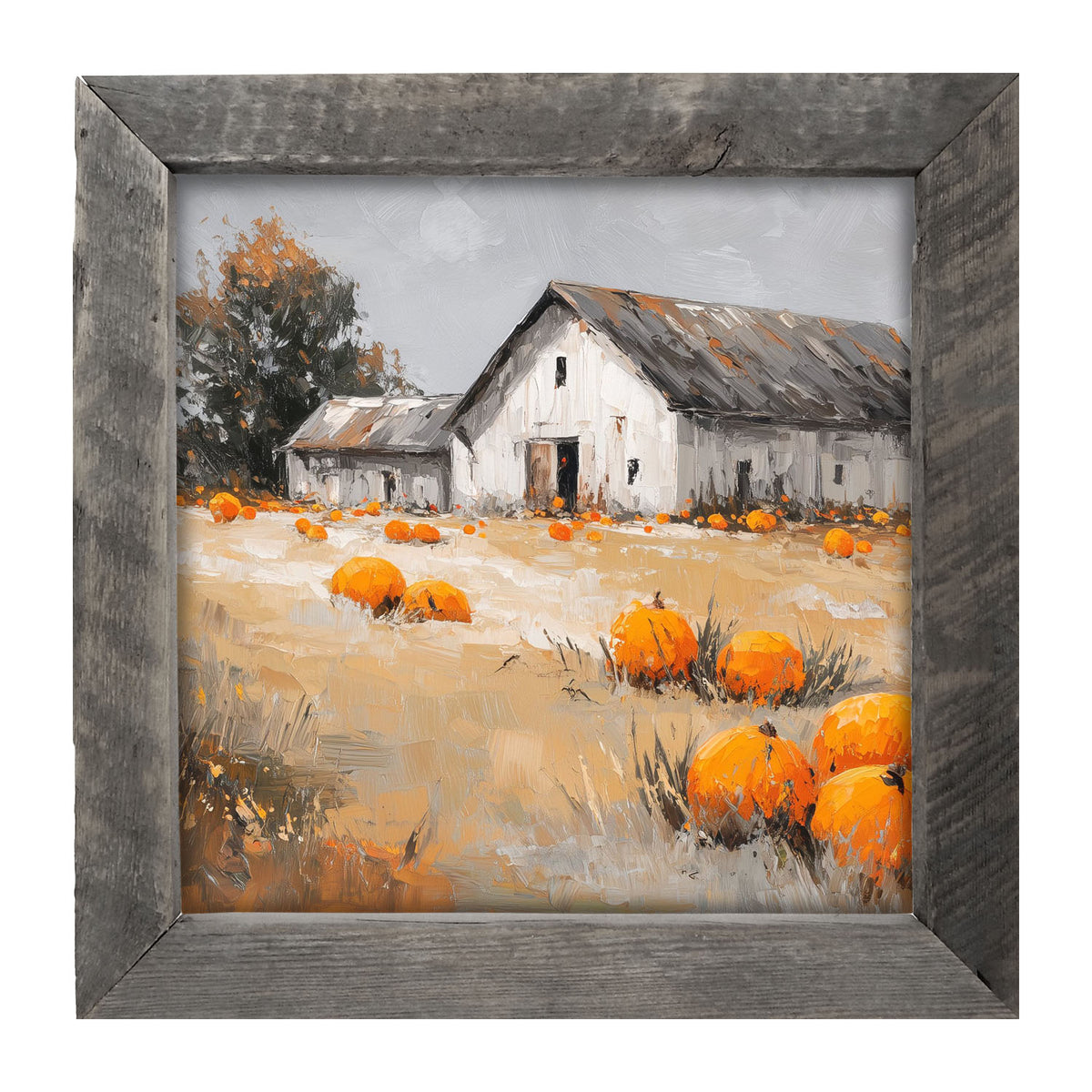 Orange Pumpkins in Field - Framed Art