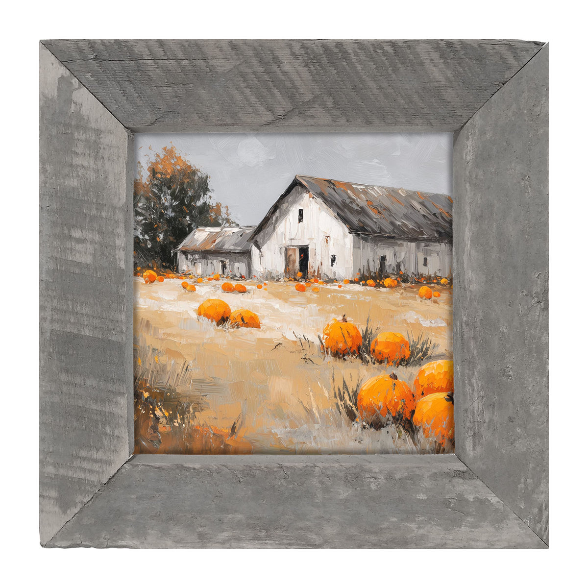 Orange Pumpkins in Field - Framed Art