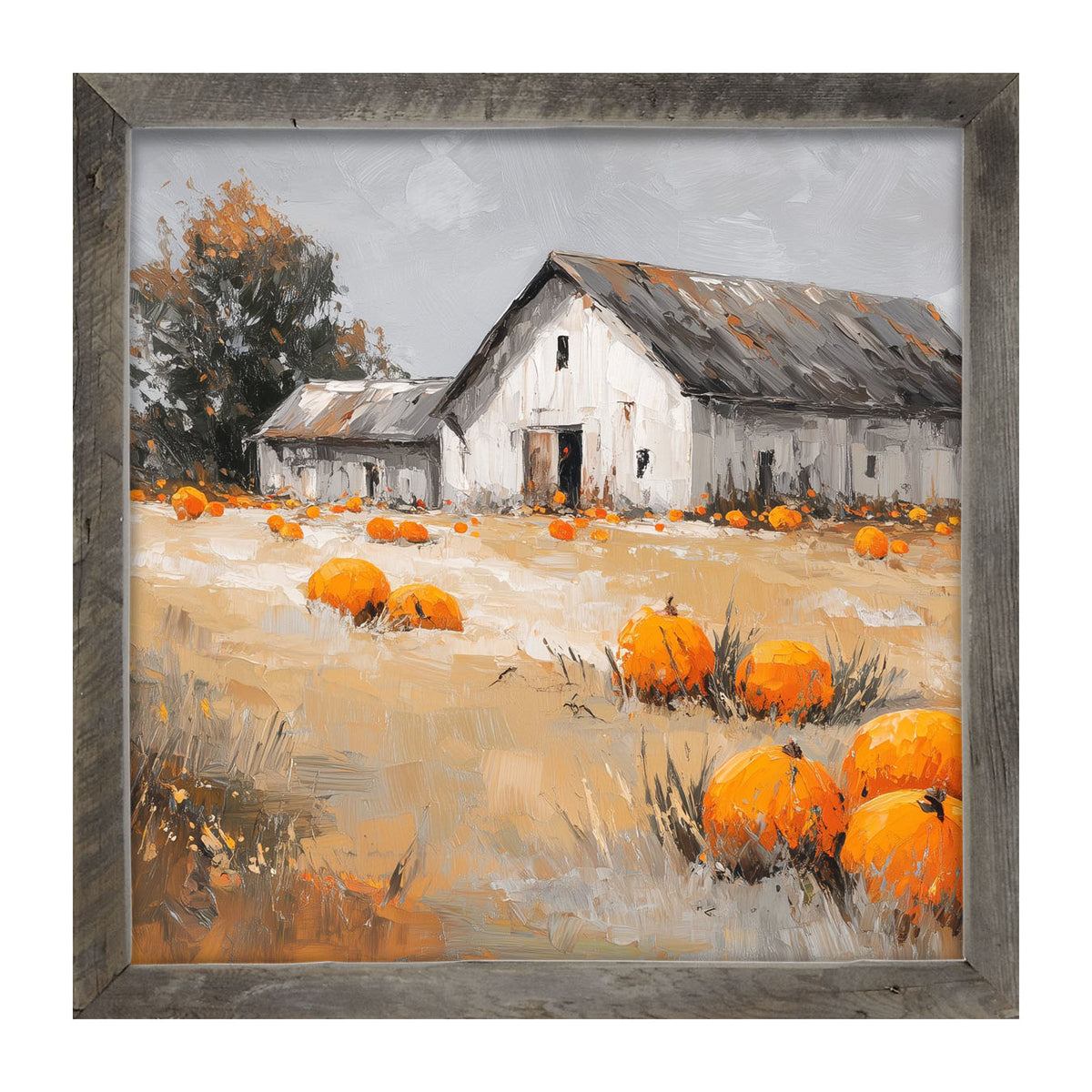 Orange Pumpkins in Field - Framed Art