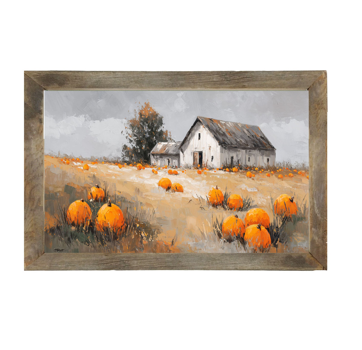 Orange Pumpkins in Field - Framed Art