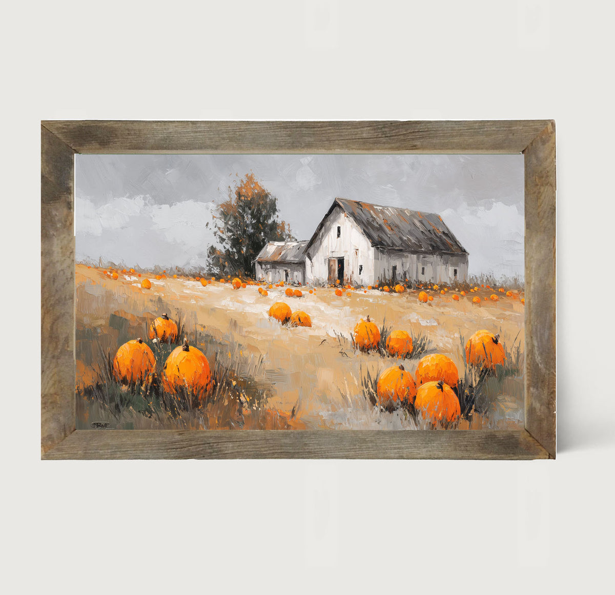 Orange Pumpkins in Field