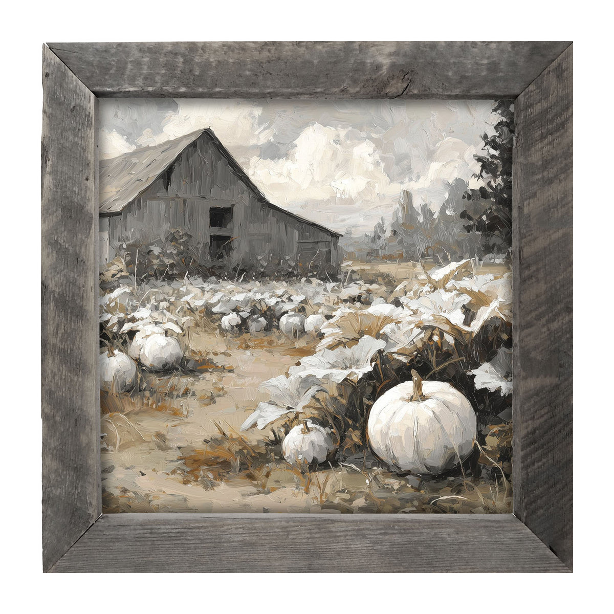 White Pumpkins in Field - Framed Art