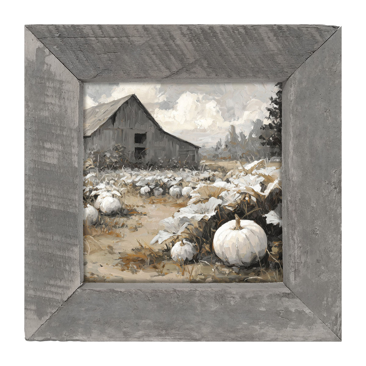 White Pumpkins in Field - Framed Art