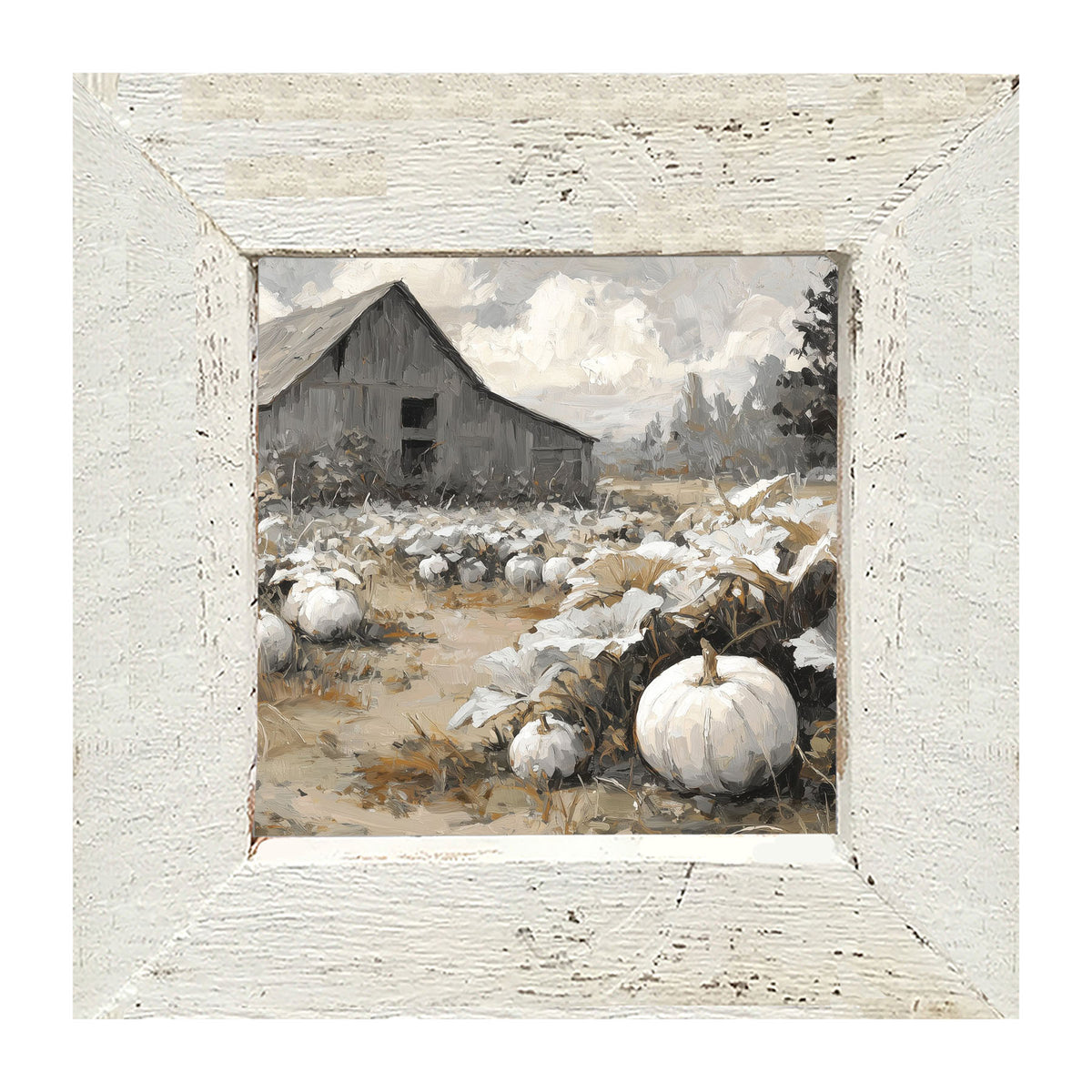 White Pumpkins in Field - Framed Art