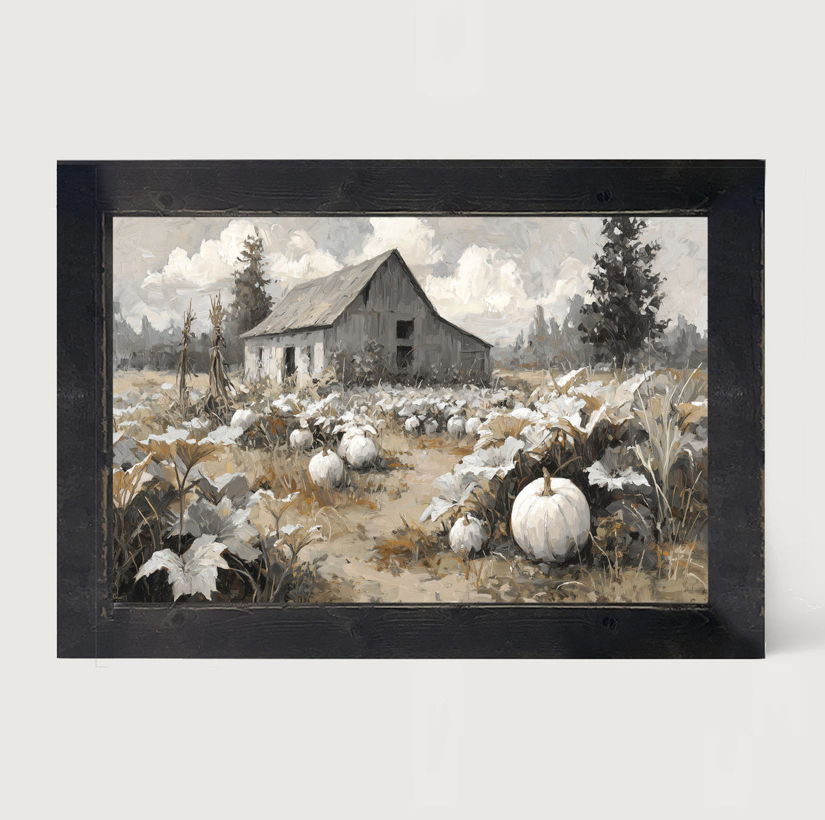 White Pumpkins in Field
