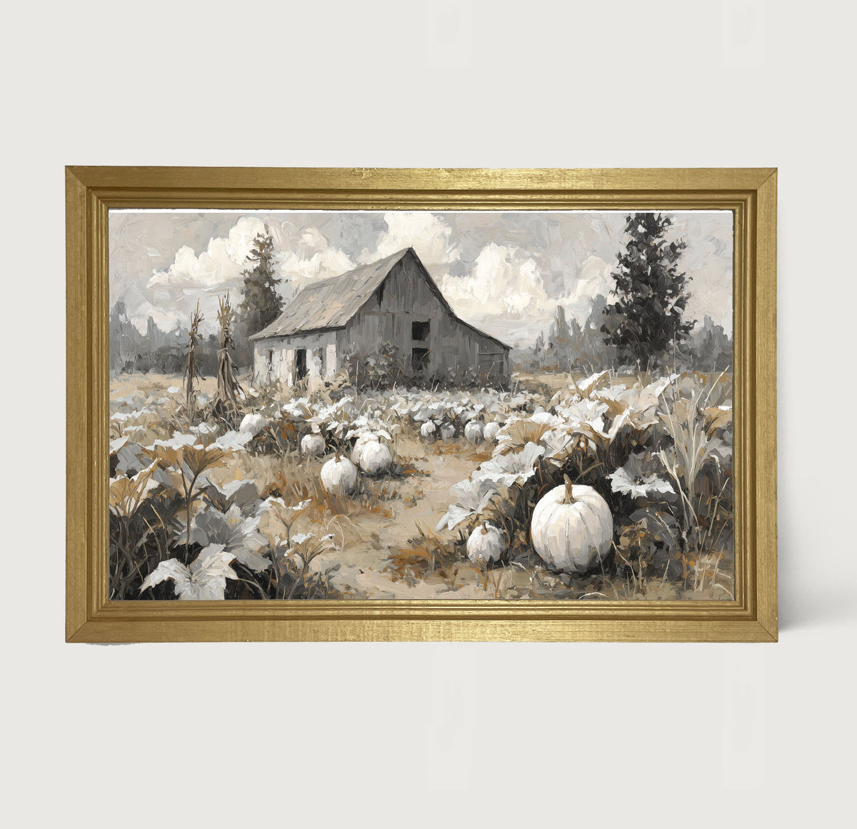 White Pumpkins in Field