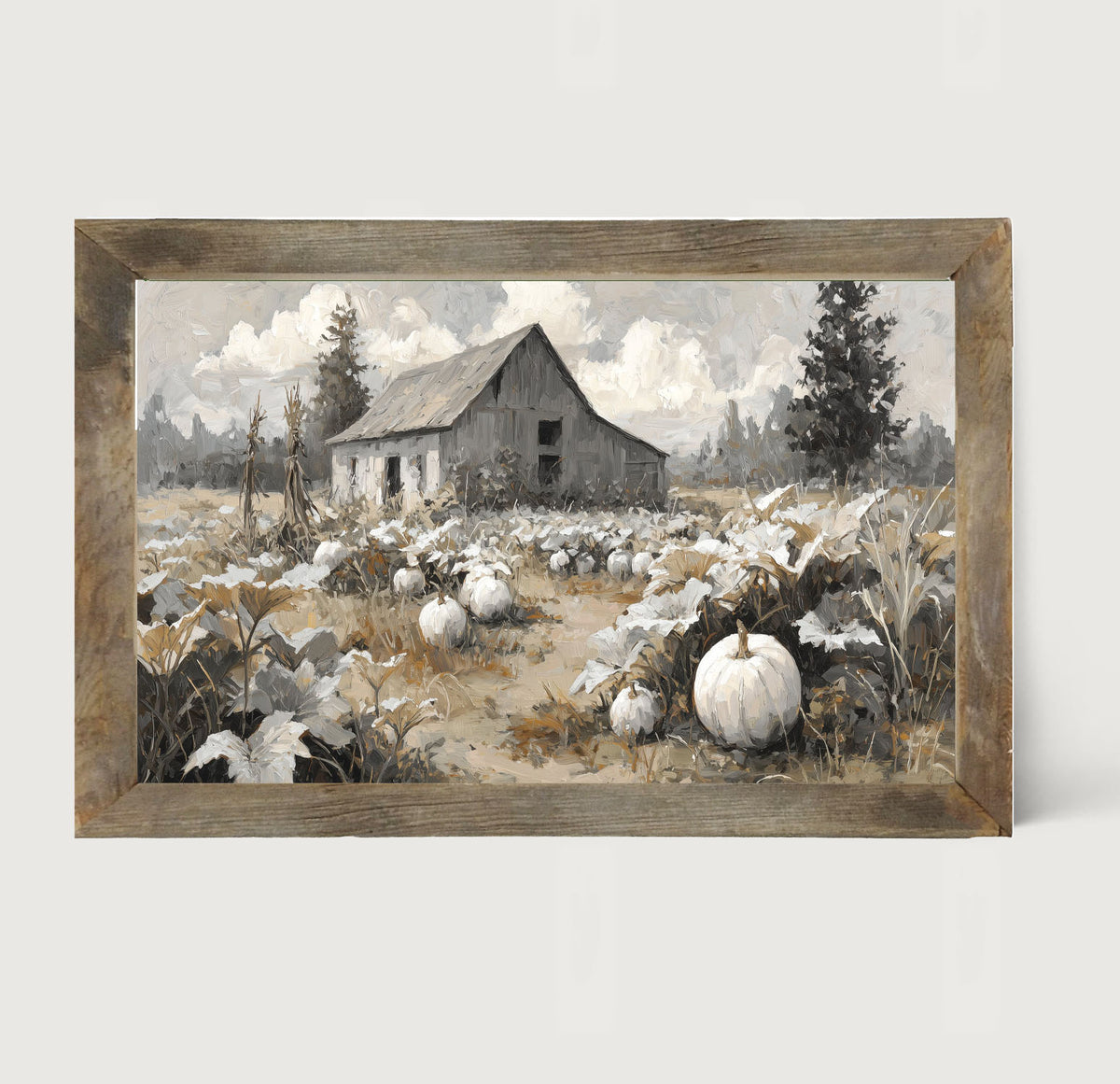 White Pumpkins in Field