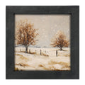 Framed Art