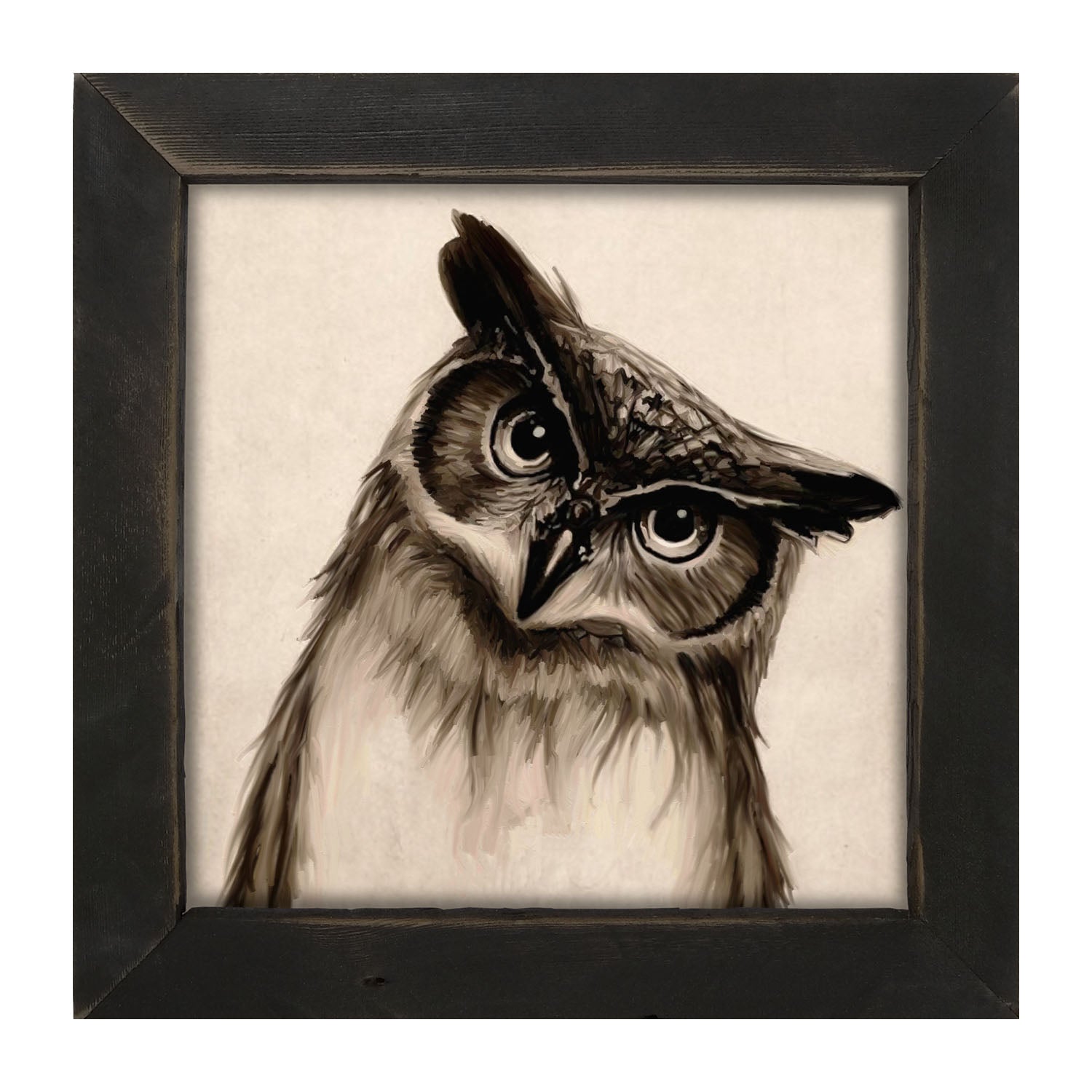 Curious Owl - Framed art