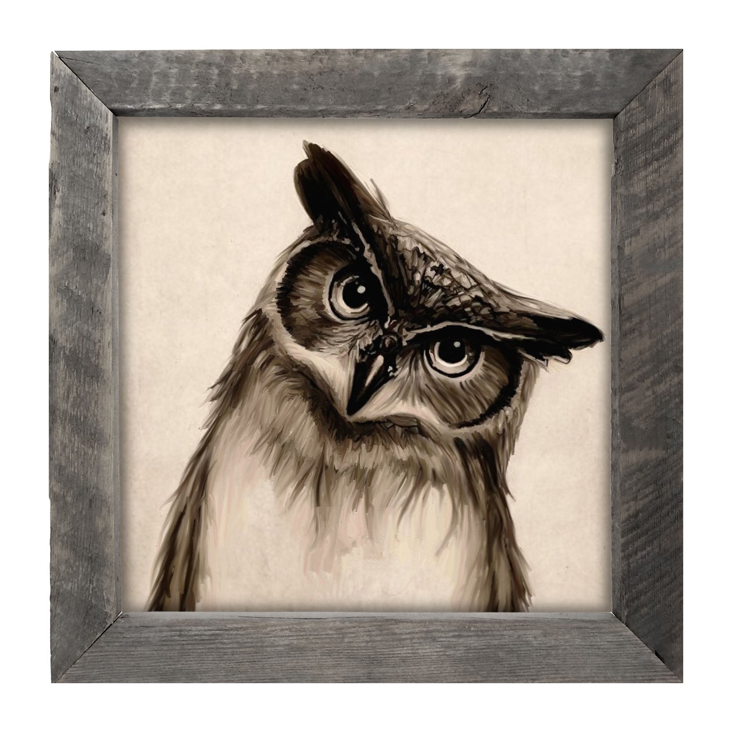 Curious Owl - Framed art