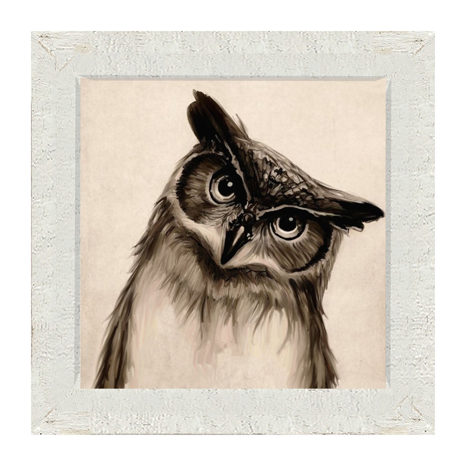 Curious Owl - Framed art