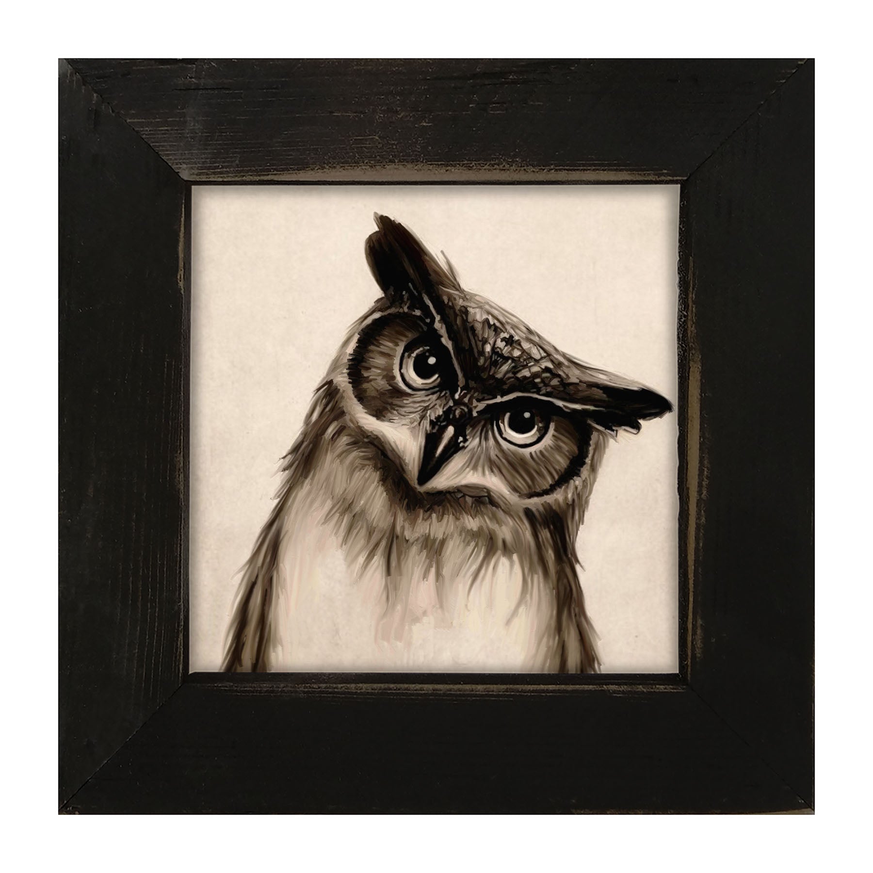 Curious Owl - Framed art