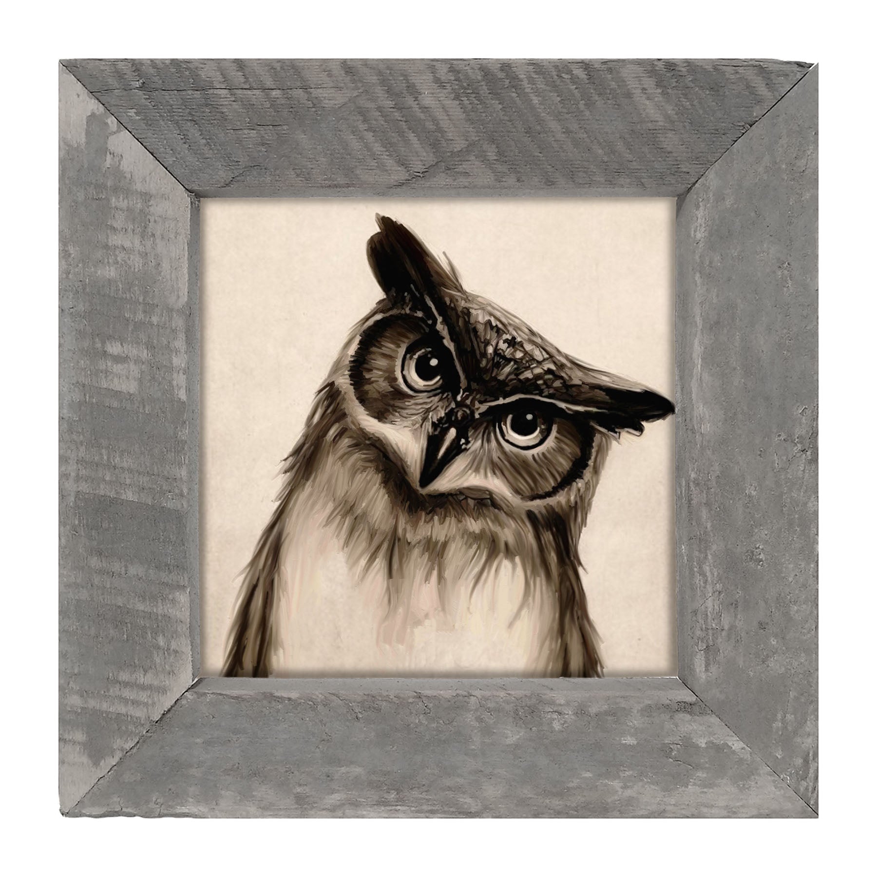 Curious Owl - Framed art