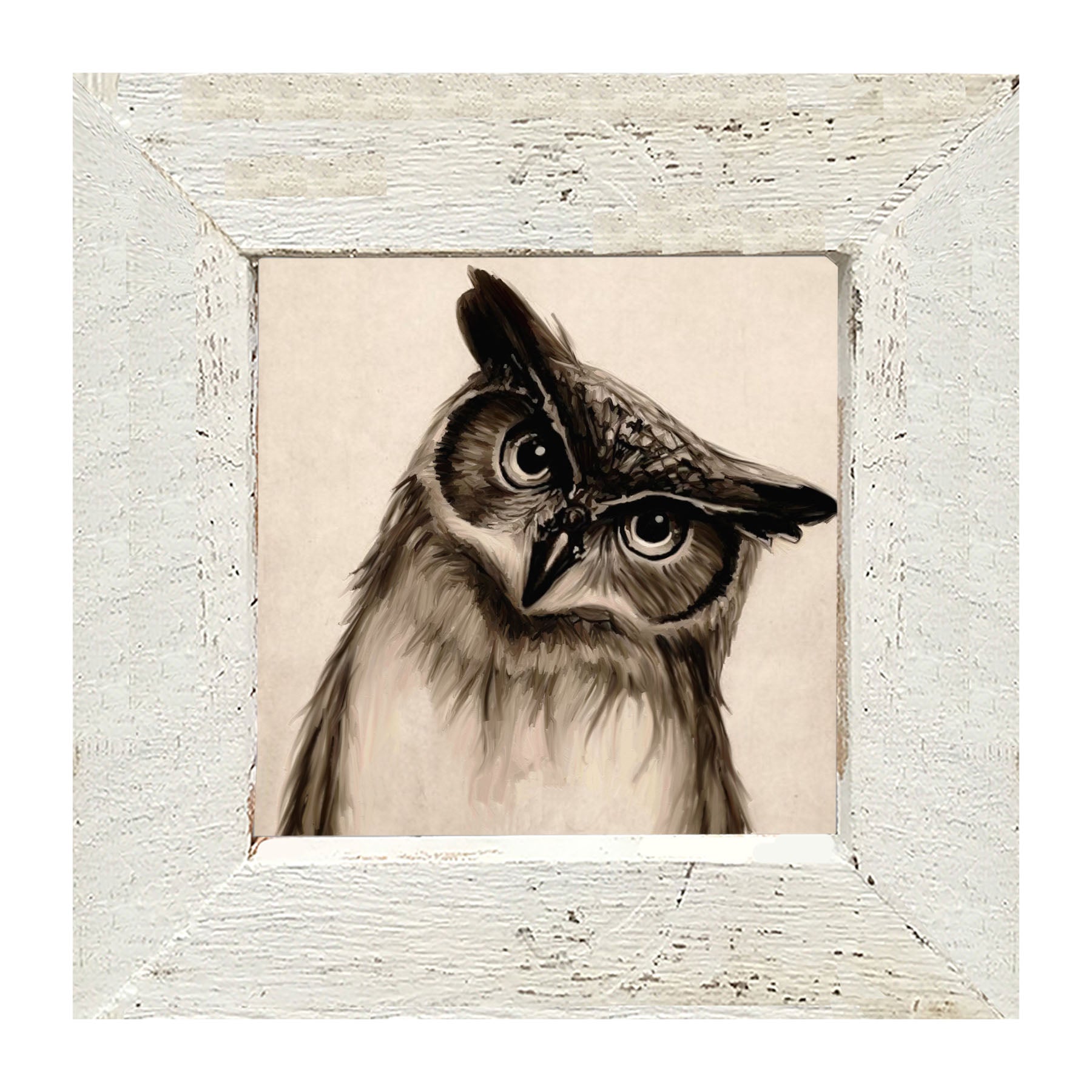 Curious Owl - Framed art