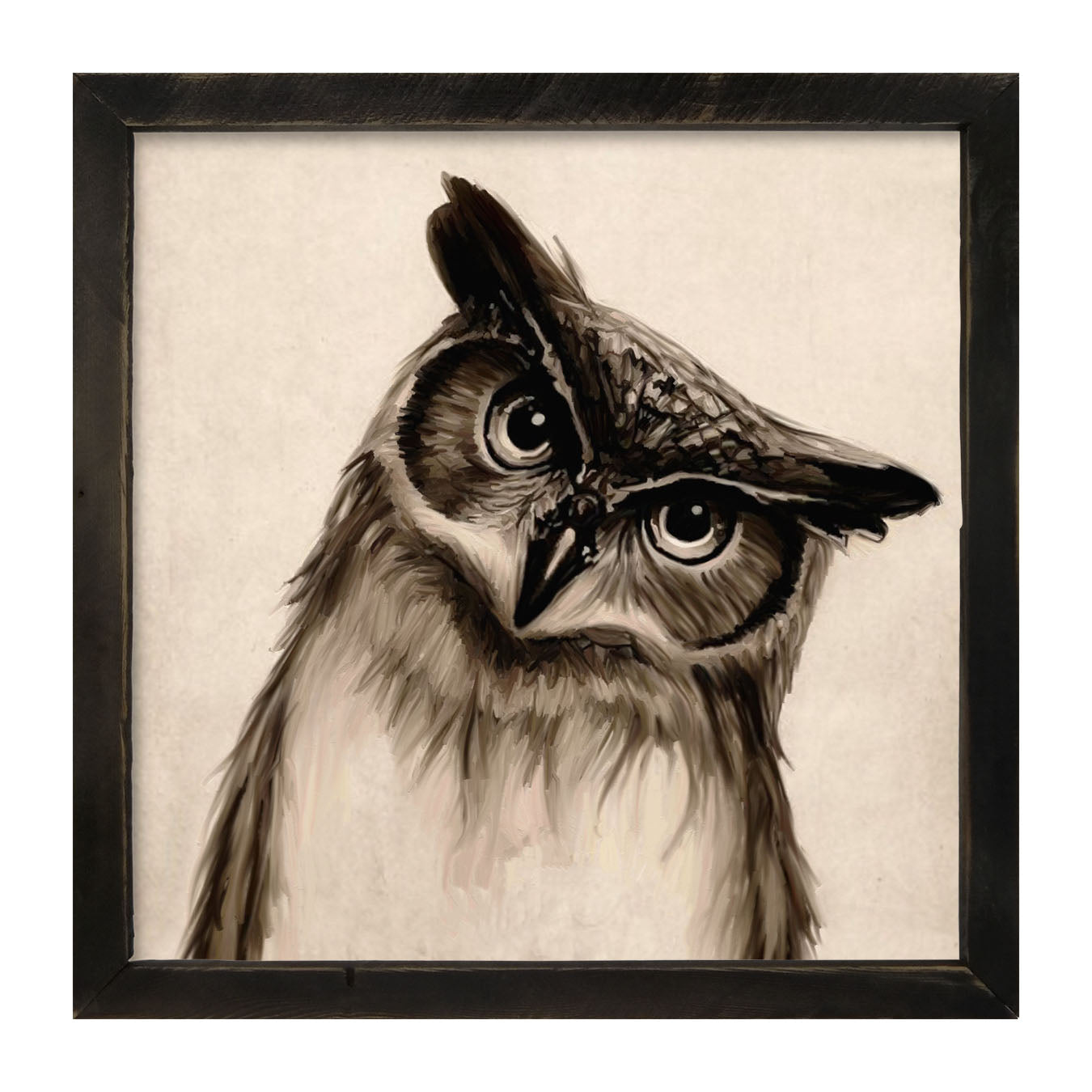 Curious Owl - Framed art