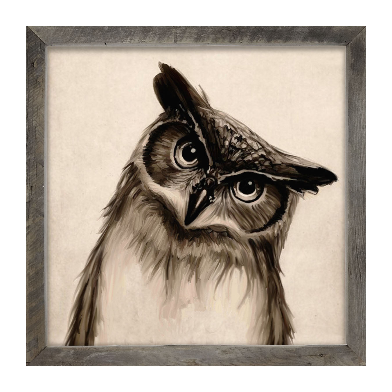 Curious Owl - Framed art