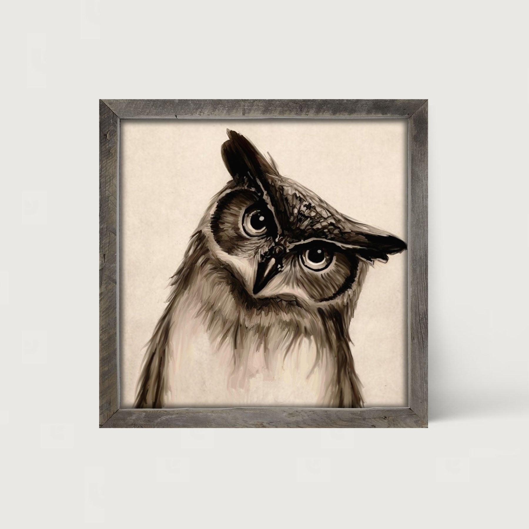 Curious Owl - Framed art