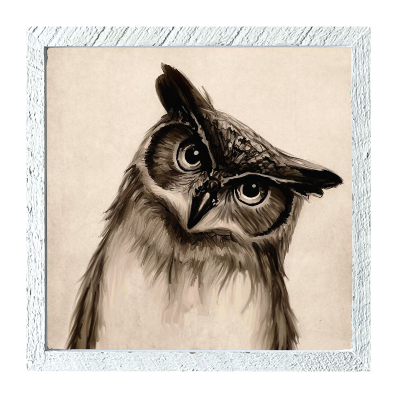 Curious Owl - Framed art