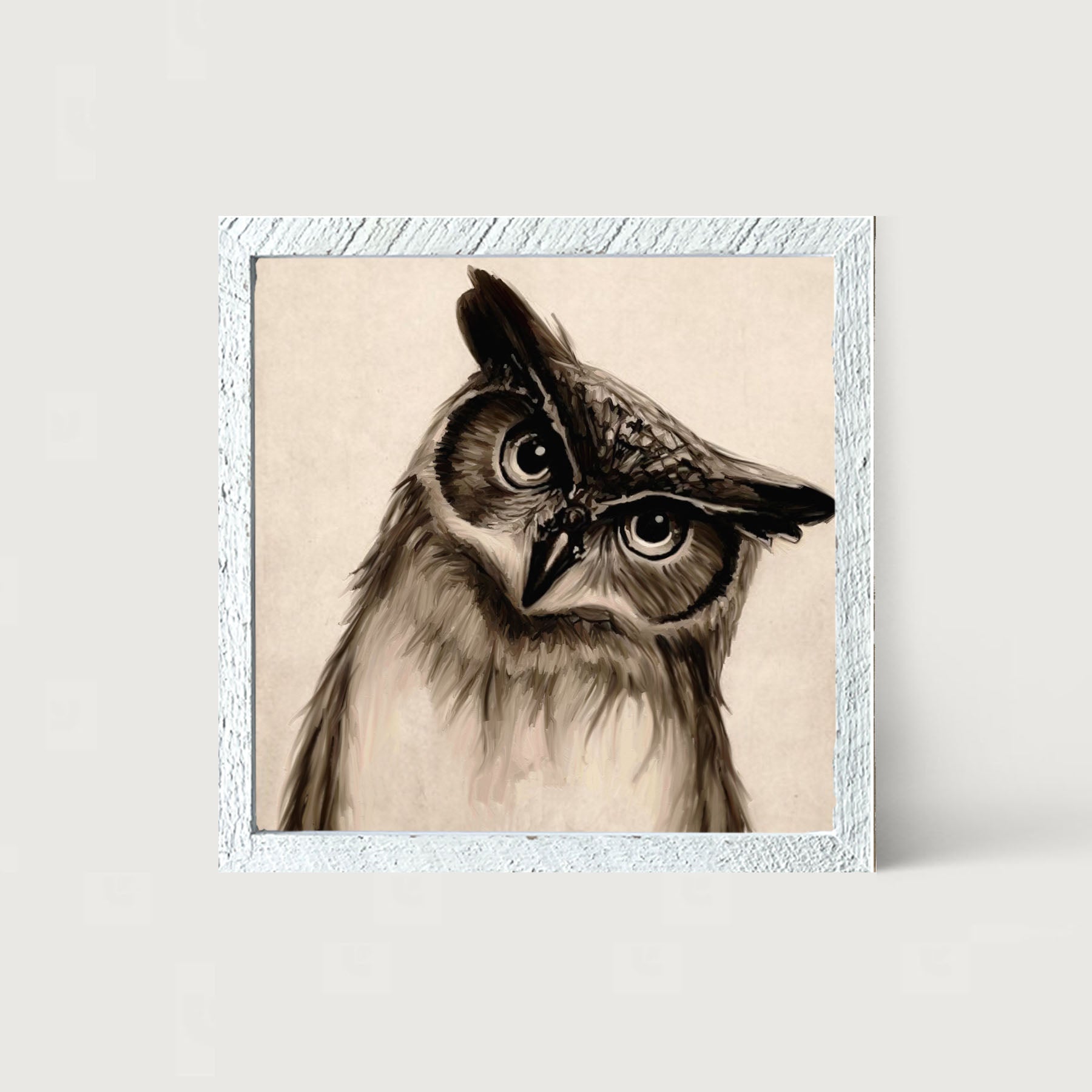 Curious Owl - Framed art