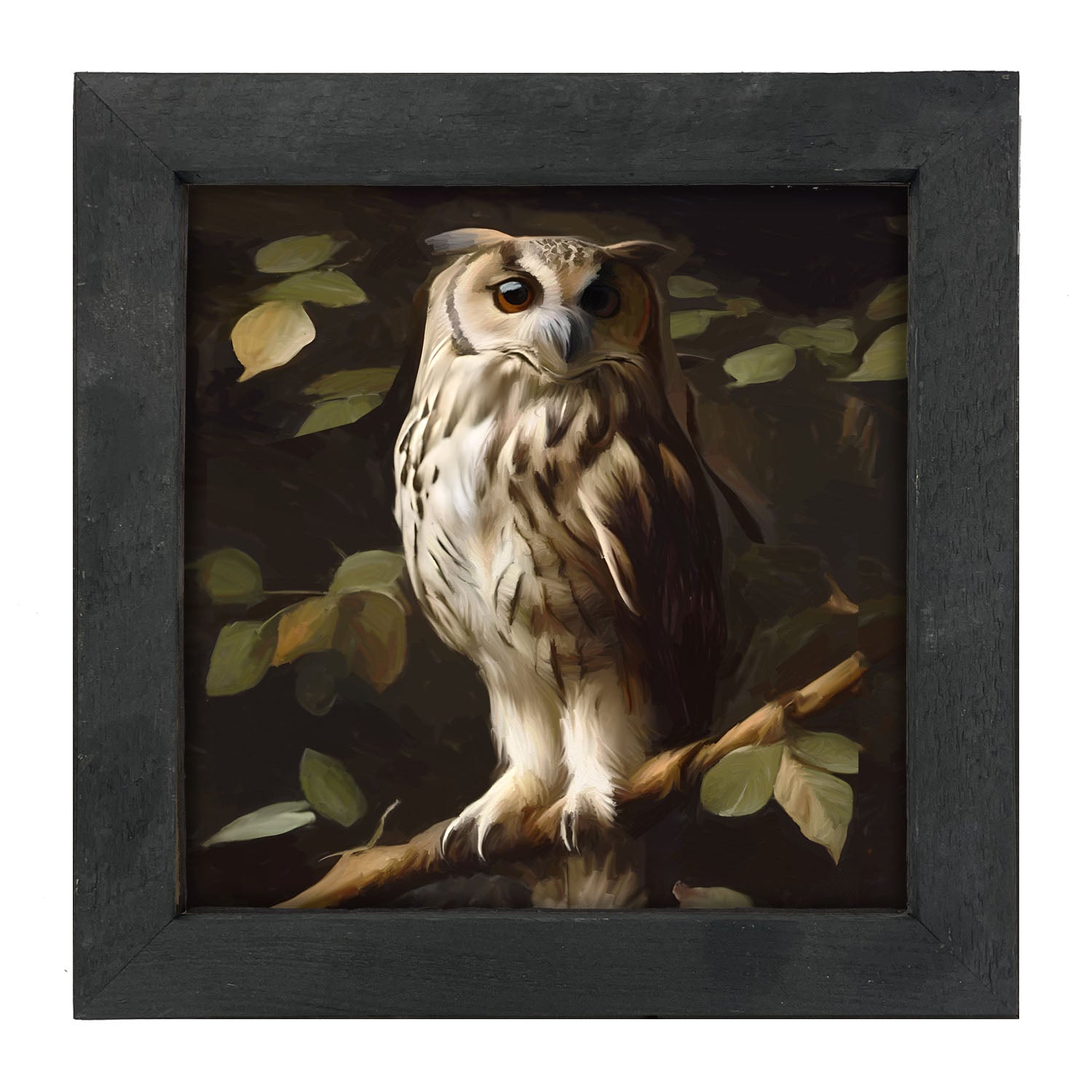 Gray and White Owl - Framed Art